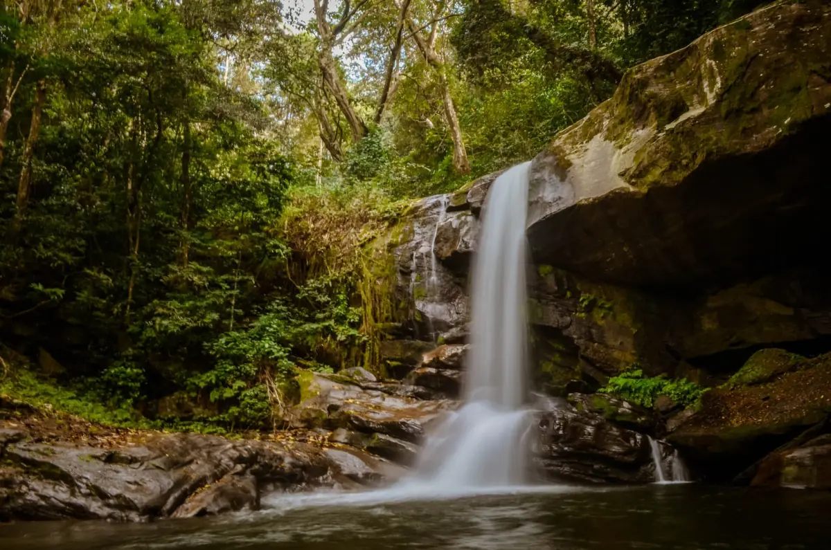 Wasserfall am Weg zu den Sanje-Wasserfällen in Udzungwa