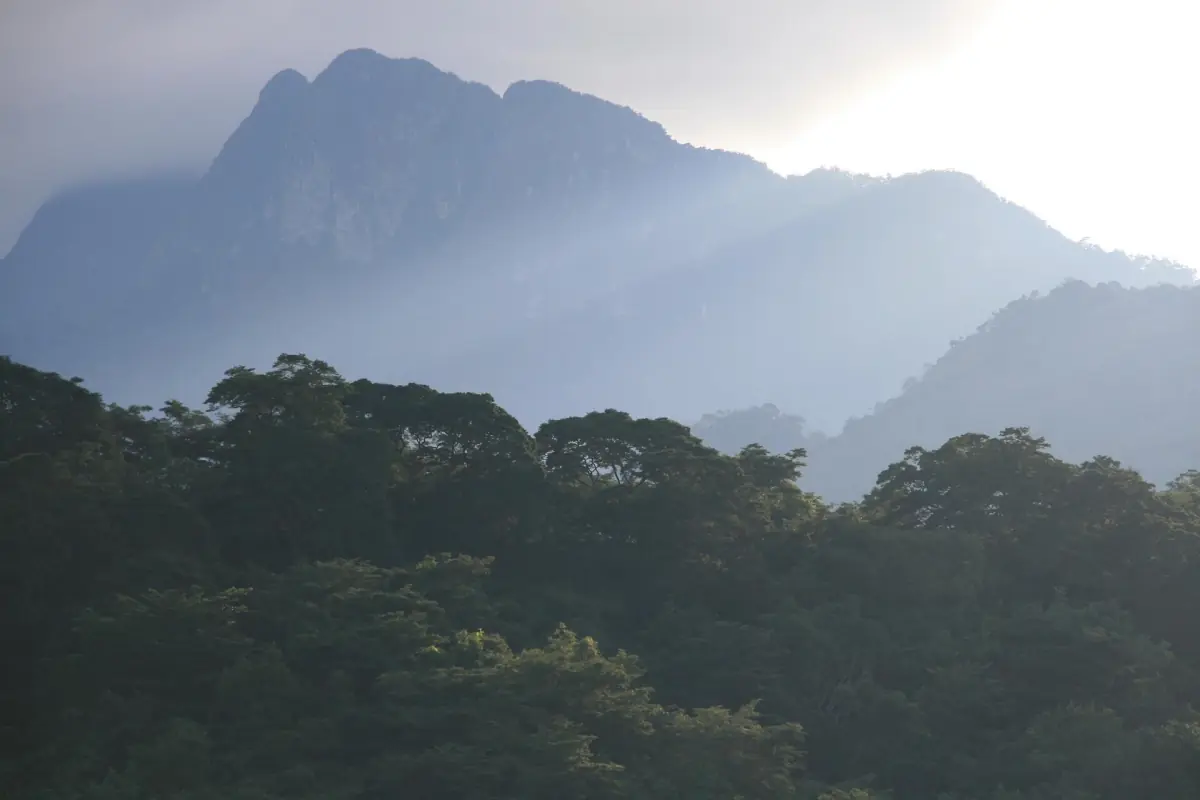 Beboste bergkammen en een bergtop in het Udzungwa-gebergte