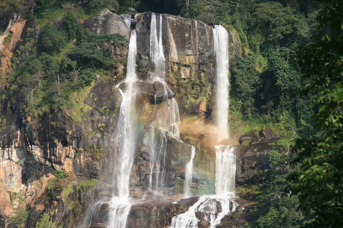 Hoher Wasserfall stürzt über eine Felswand im Udzungwa-Wald