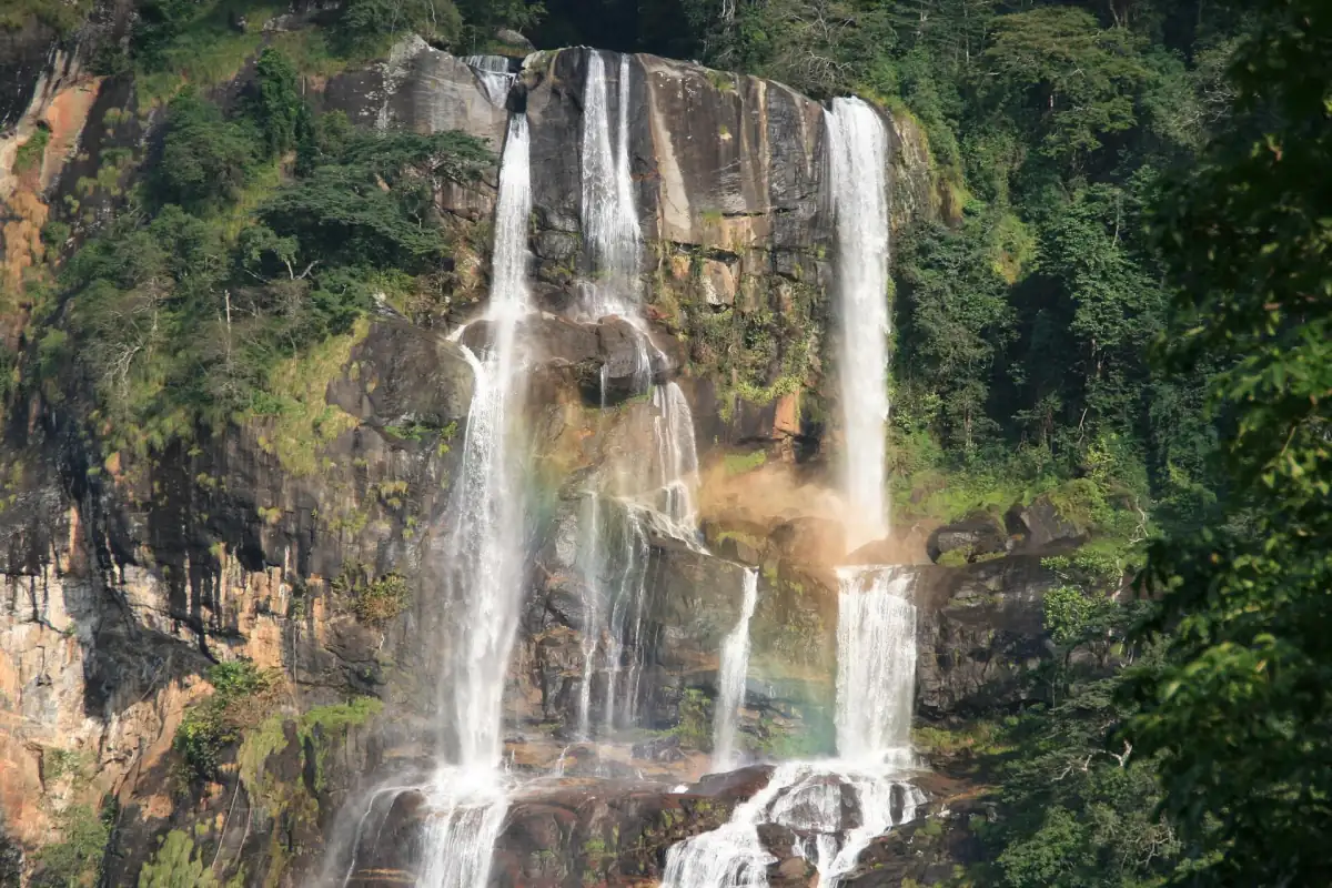 Hoge waterval die langs een rotswand naar beneden stort in het bos van Udzungwa